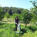 대봉농장 이미지