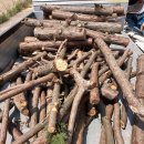 축령산농장 이미지