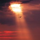 쓰는 마음 이미지