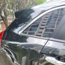 카멜레온 디테일 이미지