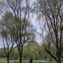 부소산성 전기자전거 대여소 이미지