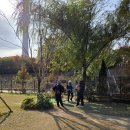 파크골프 정기 모임11.11(화)활동 이미지