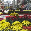 군포시 교통약자 이동지원센터 이미지