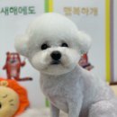 스퀘어독스 서산점 이미지