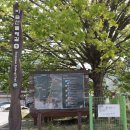 비슬산둘레길 4구간 이미지