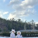 죽양대로2071번길 | 용인청소년수련원 썰매장 가격·운영정보 총정리 (미취학 아이 동반)