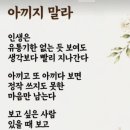세상살이 법칙 14 이미지