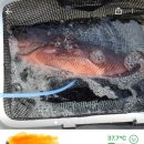 싱싱한마켓 이미지