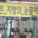 평화동-10 이미지