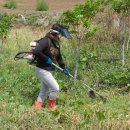 정경농장 이미지