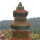 양산 워터파크 국화축제 (1) 이미지