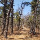 디딤돌주유소 이미지