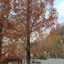 삼팔(38)전주콩나물국밥 | 전주1박2일 여행코스 | 전주 가볼만한 곳, 전주 맛집은 여기로!