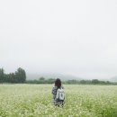 농업회사법인 꽃과사람주식회사 이미지