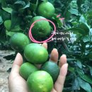 칠전동길3 이미지