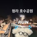 호수공원(아) | 청라 호수공원 러닝 후기 ⎹ 러닝 코스 · 주차 요금 팁