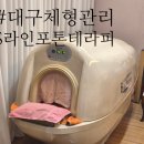 돔'S다이어트