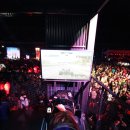 콕스레이싱 | UMF KOREA 2013 후기 [레드불라운지/레드불부스]