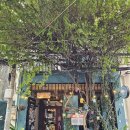 그린무드하우스(Green mood house) | 카페] 겉바속촉 바게트 샌드위치 찐맛집 '그린 몽키 사이공(Green Monkey Saigon)'🥖 에피타이저부터...