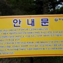 배알미동 이미지