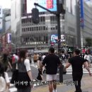 추성훈 어깨빵 영상에 댓글 단 딘딘 이미지