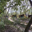 숲속의집 이미지