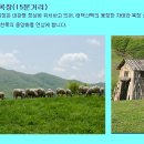 대관령황토펜션 이미지