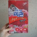 리치에스타