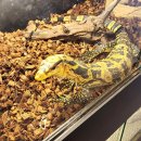 와우(양산점) 이미지