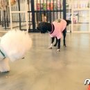 인월동물병원 이미지