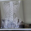 분당정자굿본재활의학과의원 이미지