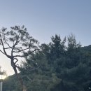 장미원입구 화장실 이미지