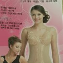 브리스건강기능성속옷 이미지