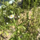 와룡천 캠핑장 이미지