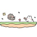 육공식당