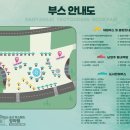 패밀리캣 이미지