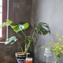 안골3길 4 이미지