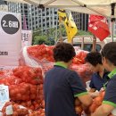 “양파 한망에 650원이라니, 팔수록 빚더미”···시민과 함께한 ‘7.7 전국농민대회’ 이미지