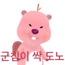 불돈생돈 네이버블로그