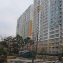 월드옵티마약국 이미지