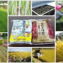 DMZ 청정지역 철원오대쌀 햅쌀 생산농가 직접 판매합니다 이미지