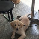 보틀라운지