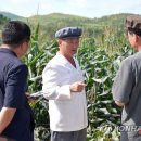 황주농장 이미지