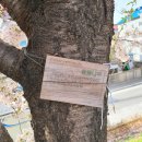 남대천제방길 이미지