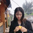 사랑채김밥