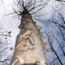 뜰이야기2 이미지