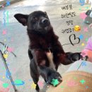 리태 네이버블로그