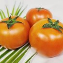 노상혁 FTC 이미지