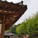 용꿈횟집 | 오죽헌 관광-구도장원공(九度壯元公)과의 만남