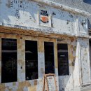 황학교 | 신당에서 강아지랑 실내에서 노는 법 대공개(서울 중구 신당 애견동반/ 반려동물 동반 카페, 식당 추천)